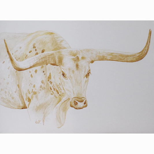 texas longhorn fine art print
