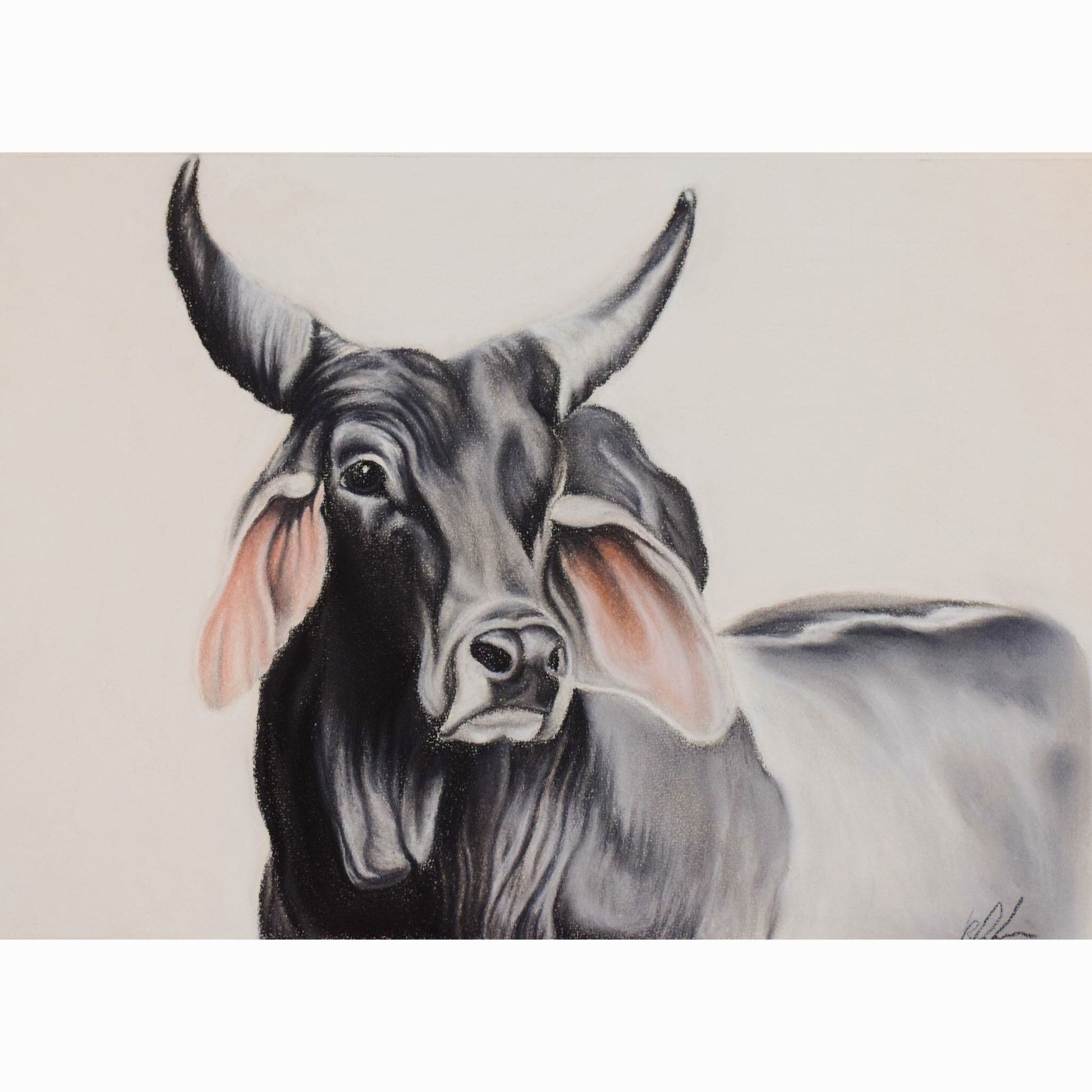 bull artwork fine art print