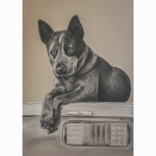Drawing of a dog sitting with a neutral background