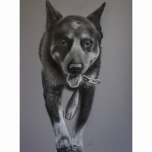 Detailed drawing of a dog with a gray background