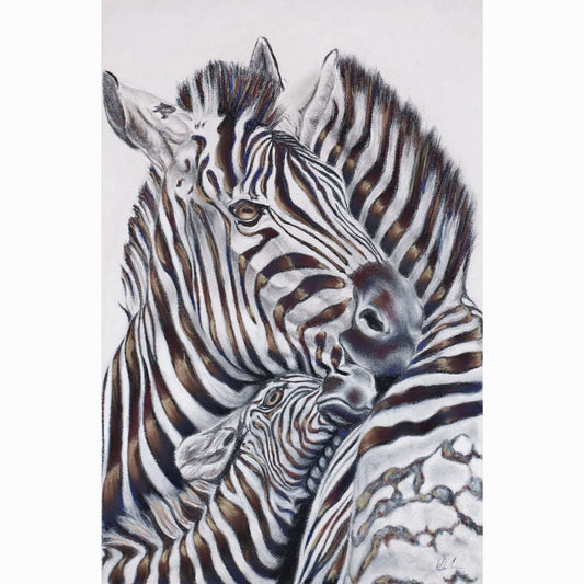 zebra fine art print
