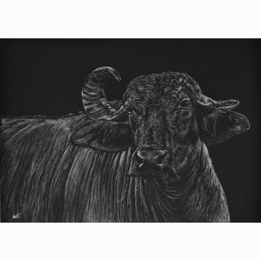 water buffalo realism artwork by kay davidson