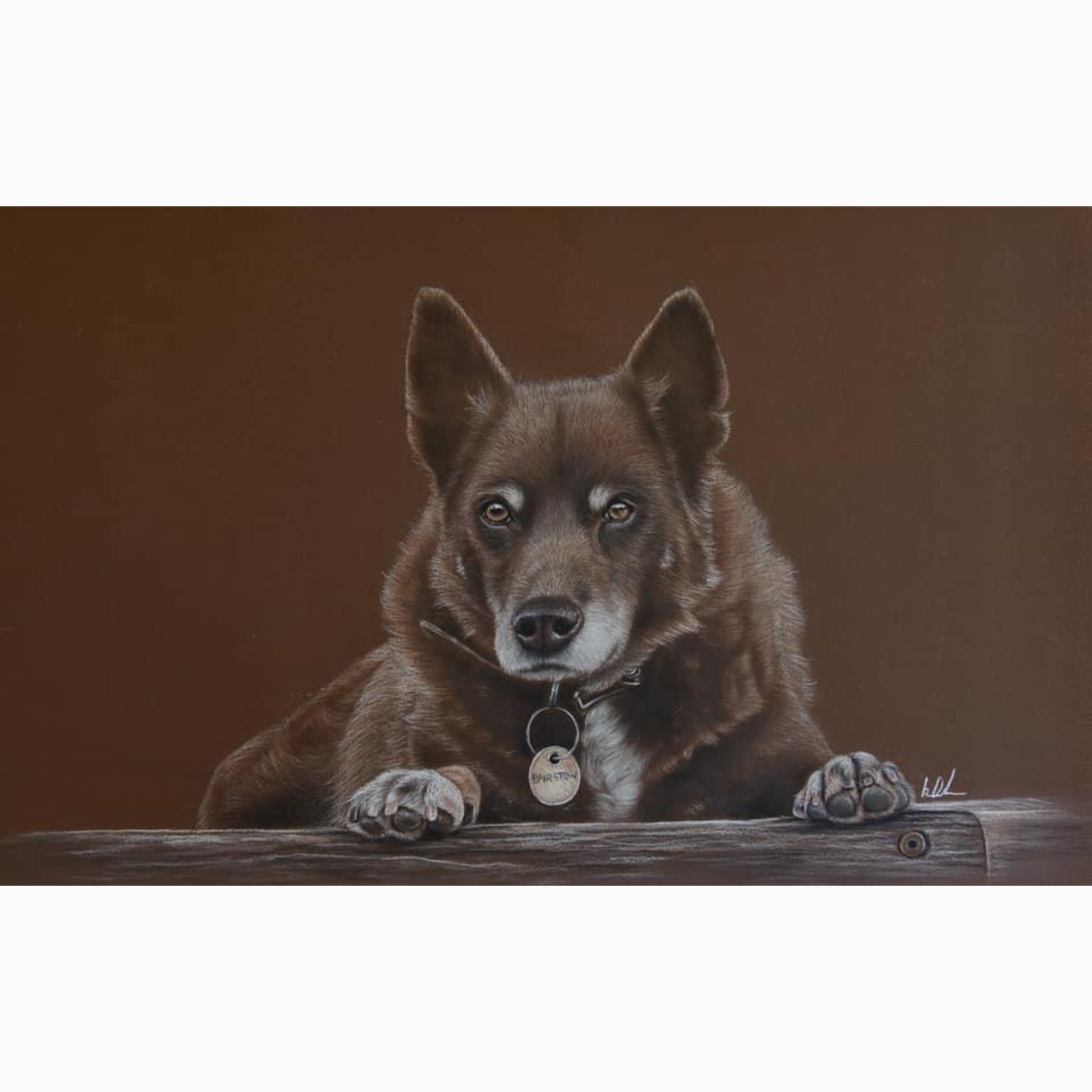 Artwork showing cattle dog lying on a wooden surface with a brown background