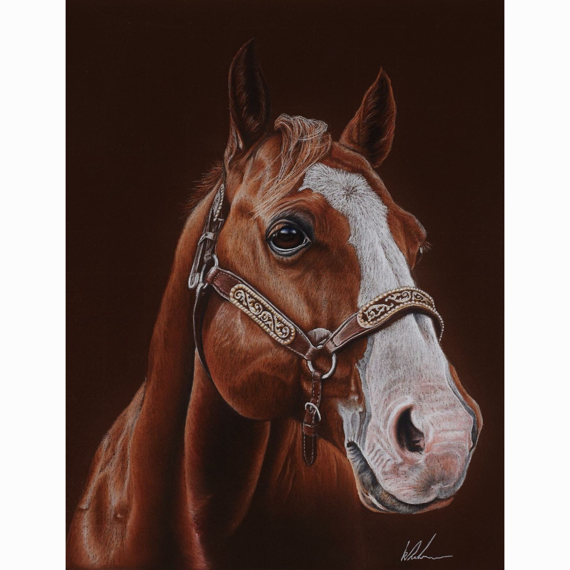 western stud horse with show halter fine art print