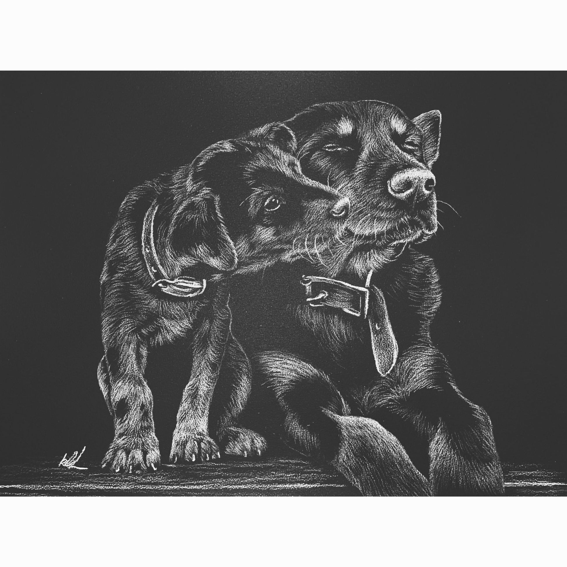 dog and puppy black and white charcoal drawing