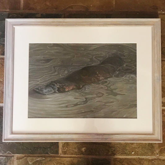 Platypus play original artwork framed on brick wall