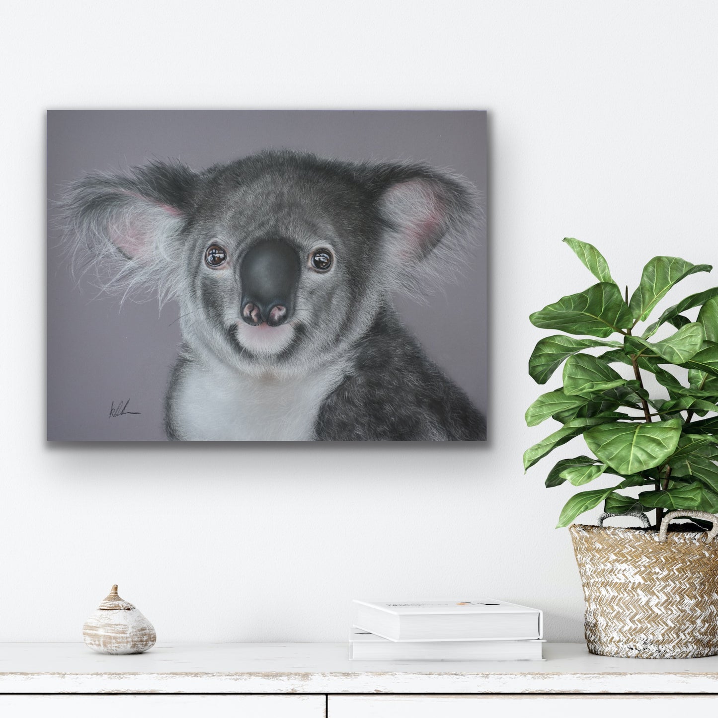 drop bear stretched canvas print on wall