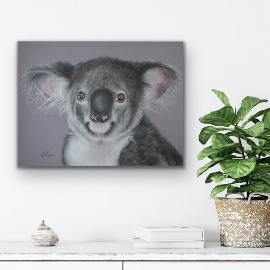 drop bear stretched canvas print on wall