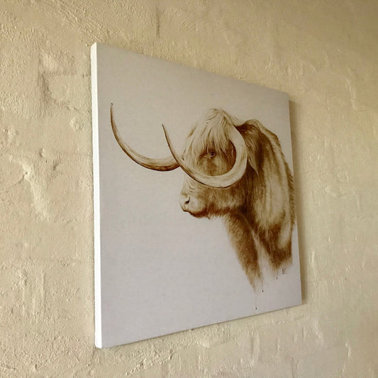 highland cappuccino stretched canvas print on brick wall side view