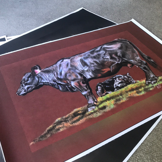 Mother and calf bargain bin