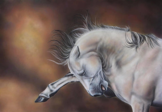 The last stand bargain bin