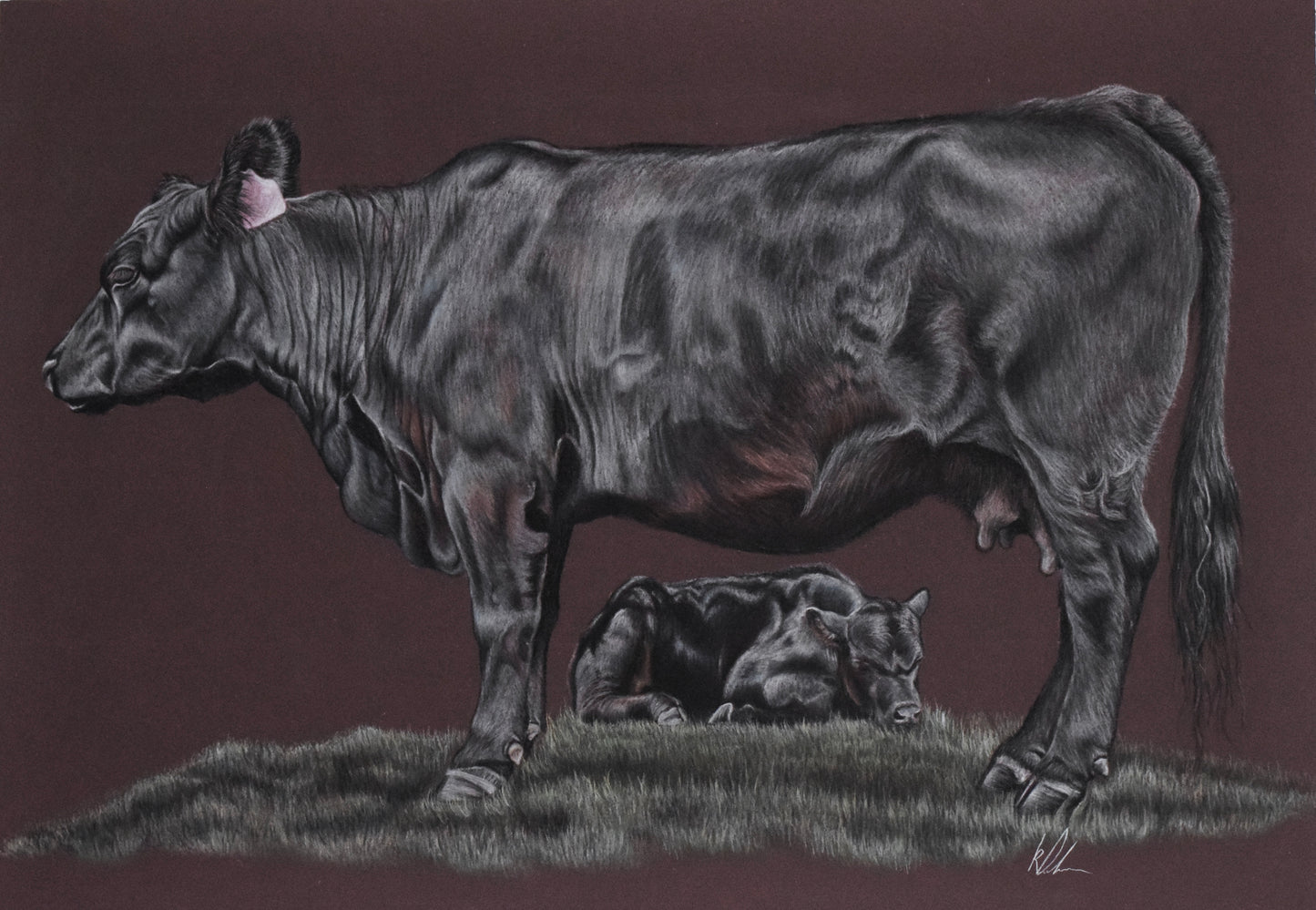 Mother and calf bargain bin