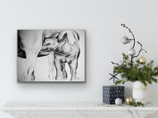 Studio stretched canvas prints