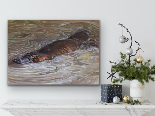 Studio stretched canvas prints