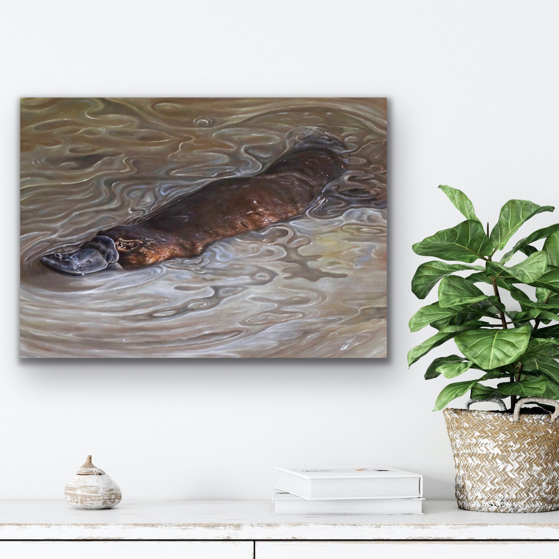 platypus play stretched canvas print hanging on wall