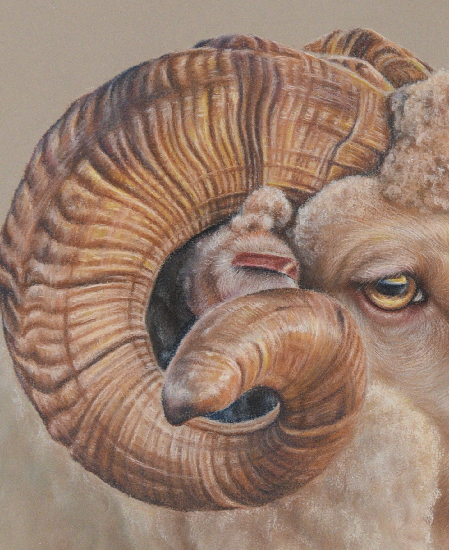 order the latest original ‘Golden Hour’ stretched canvas prints