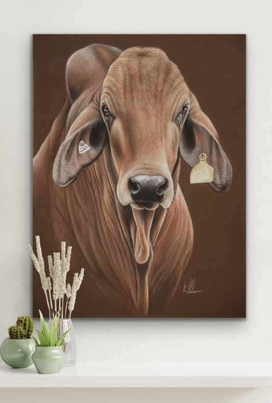 The stare down stretched canvas print