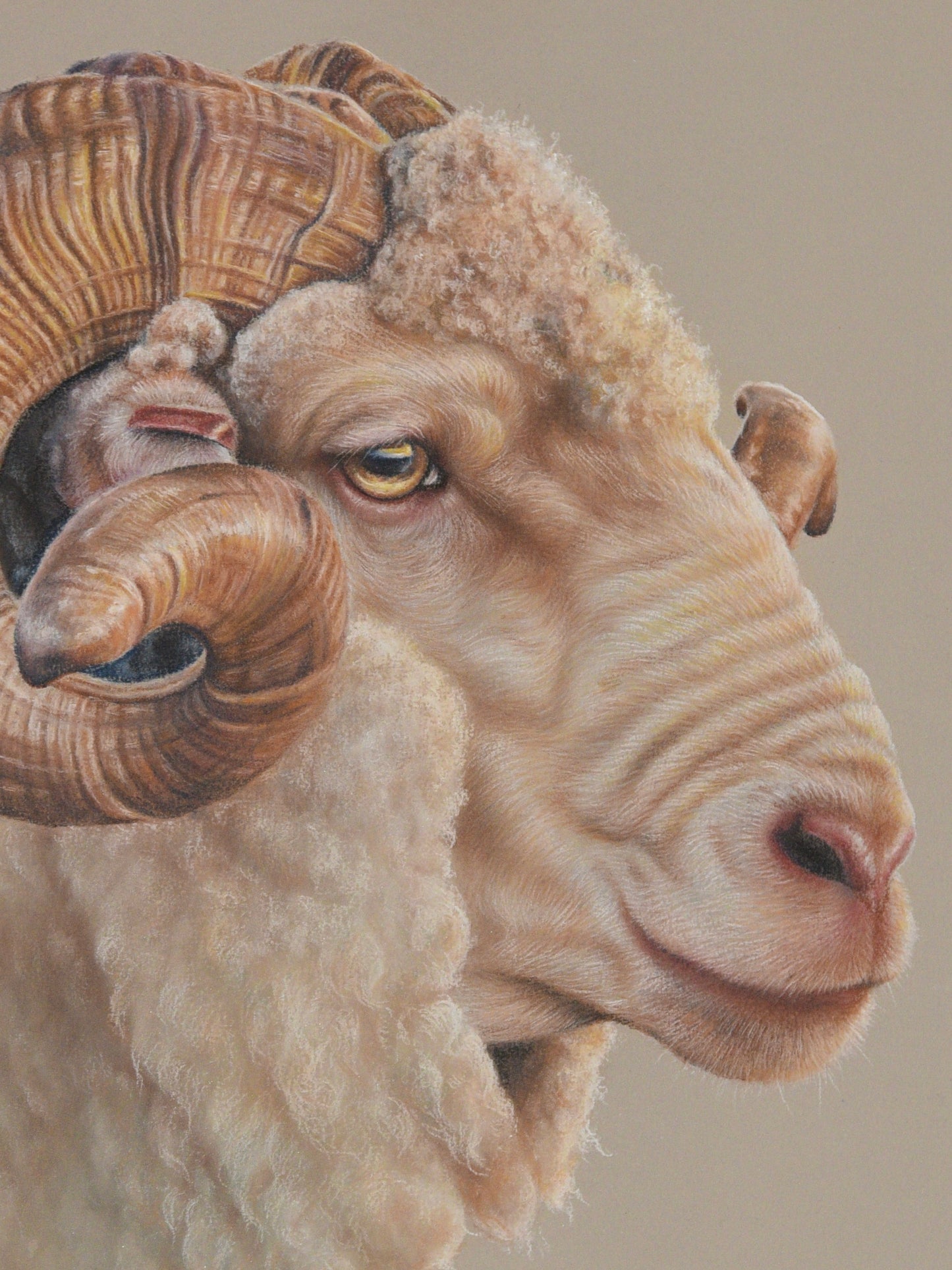 order the latest original ‘Golden Hour’ stretched canvas prints