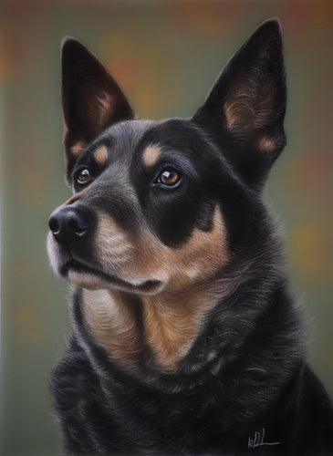 ‘Princess’ the blue heeler rolled print