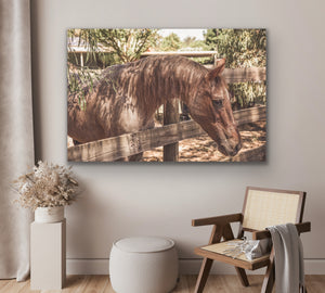 How to Get a Photo Printed on Canvas: Easy Steps for Stunning Art