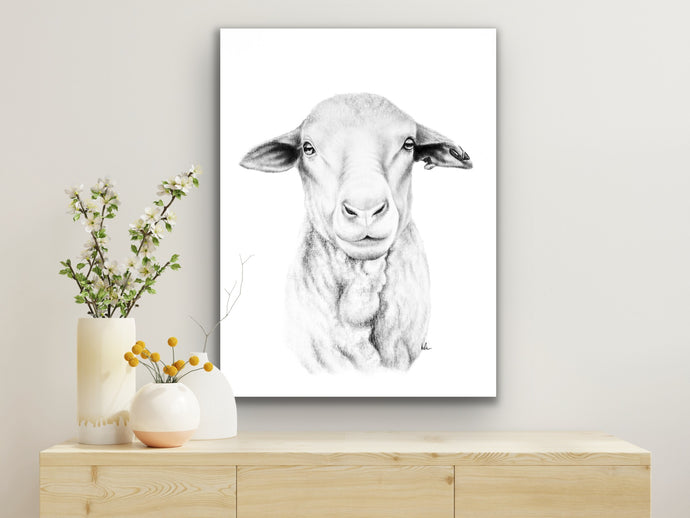 Ewe stretched canvas print