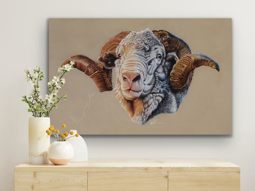 Hay runner ram stretched canvas