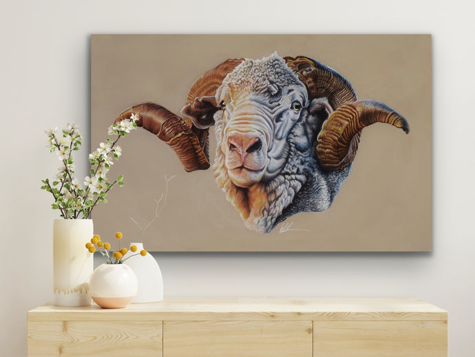 Hay runner ram stretched canvas
