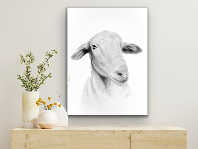 Aussie white stretched canvas print 50x75cm