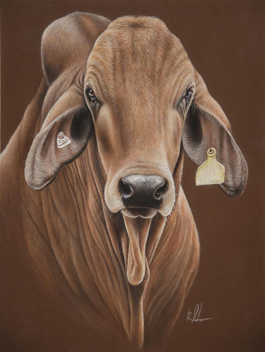 The stare down rolled canvas print