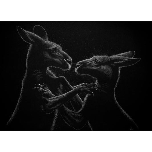 Black and white drawing of two kangaroos on a black background.