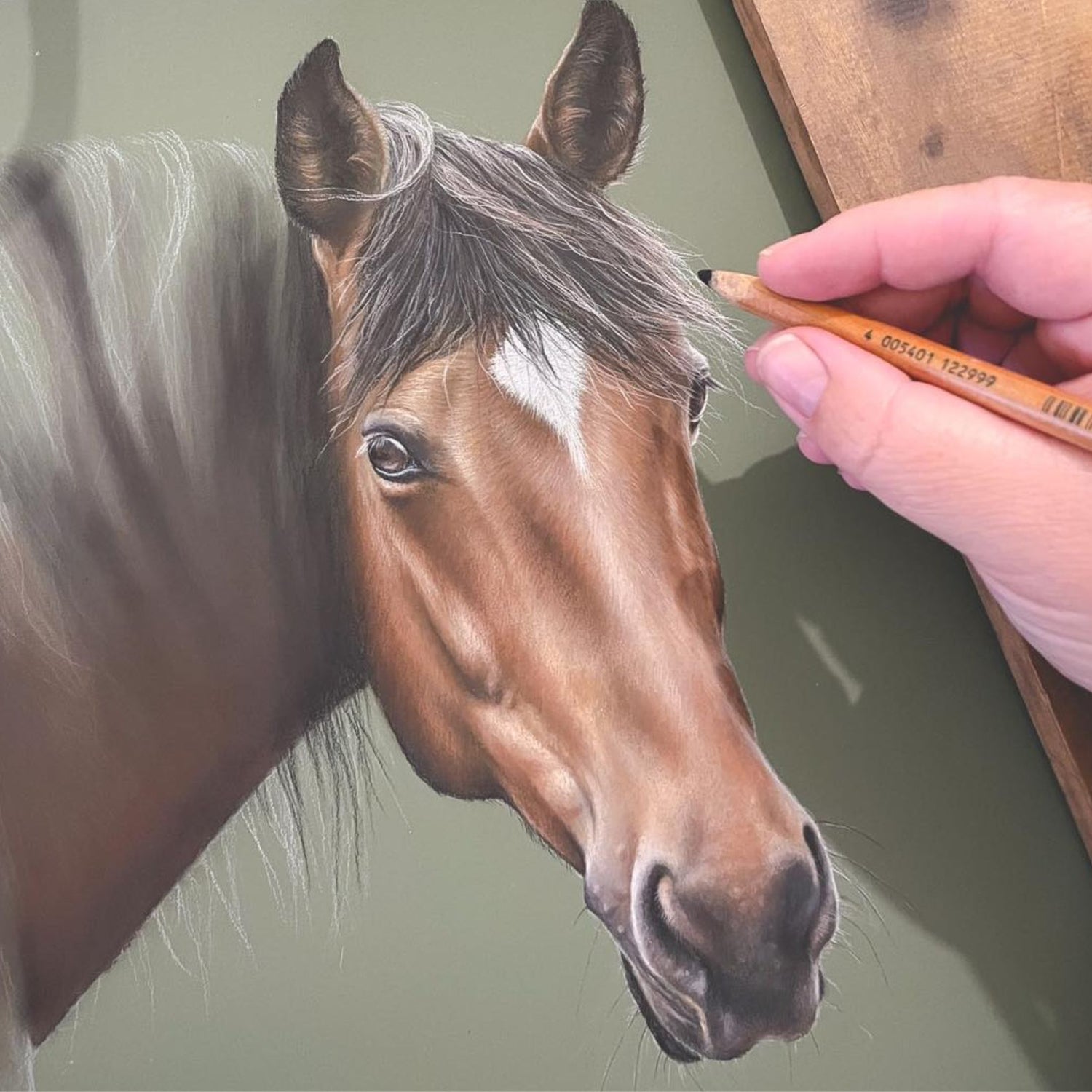 artist kay sketching a horse holding pastel pencil in hand
