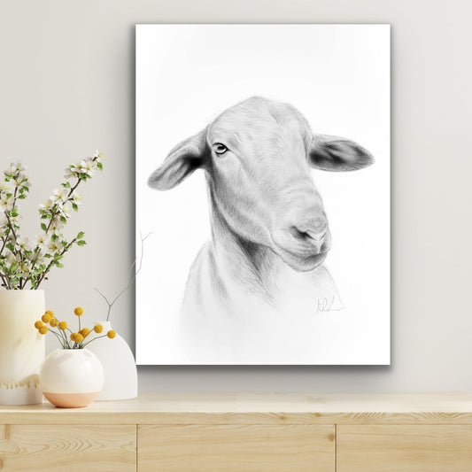 aussie white stretched canvas print hanging on wall
