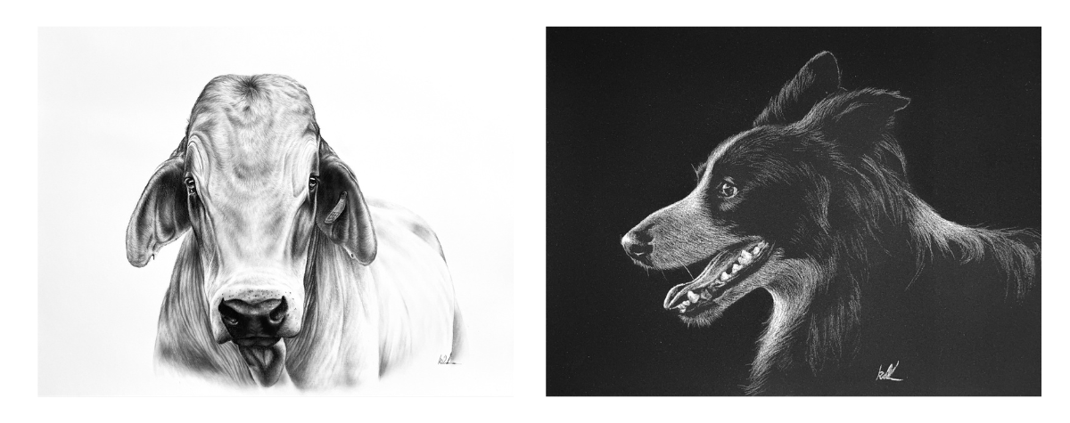 showing an example of a black and a white charcoal drawing, subjects are a cow and a dog
