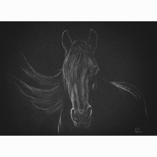 Black and white drawing of a horse's head on a dark background