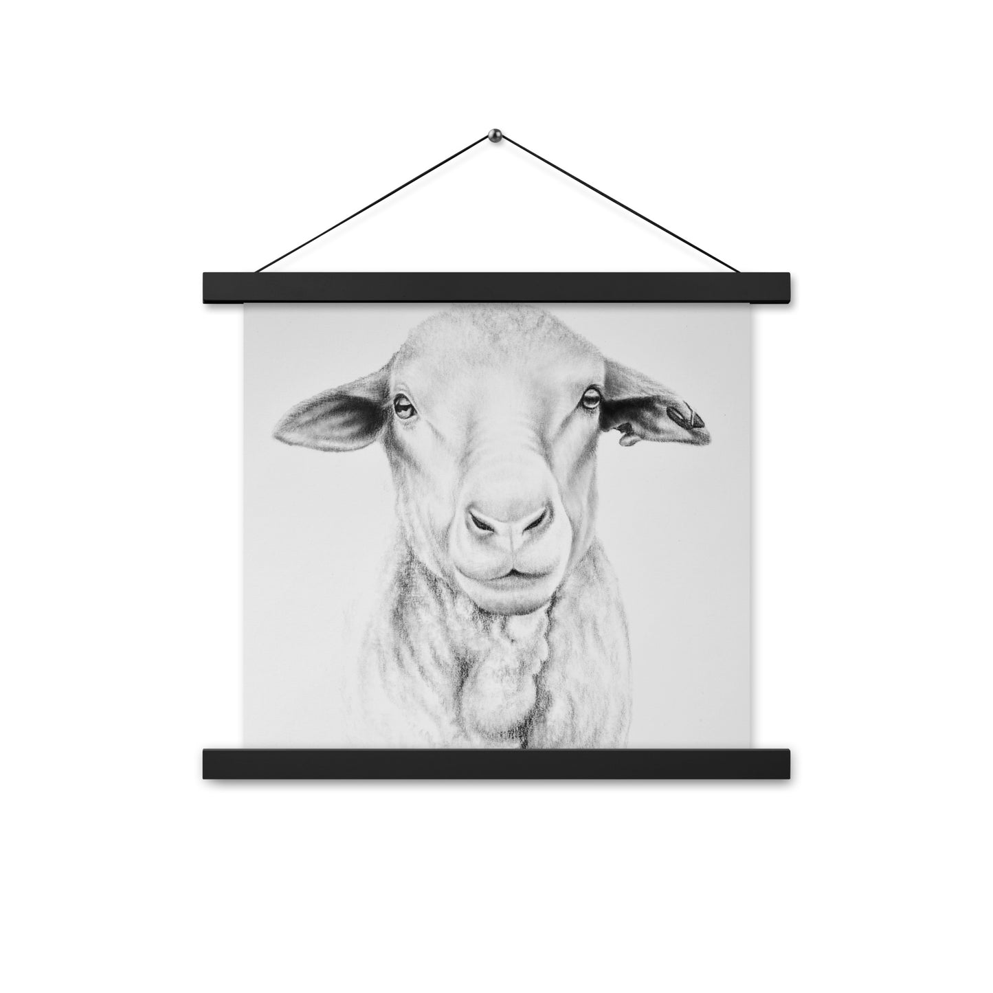 Ewe Poster with hangers