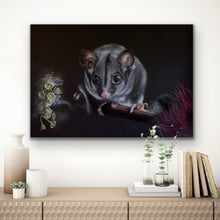 Load image into Gallery viewer, Gary glider stretched canvas