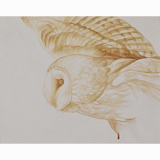owl fine art print