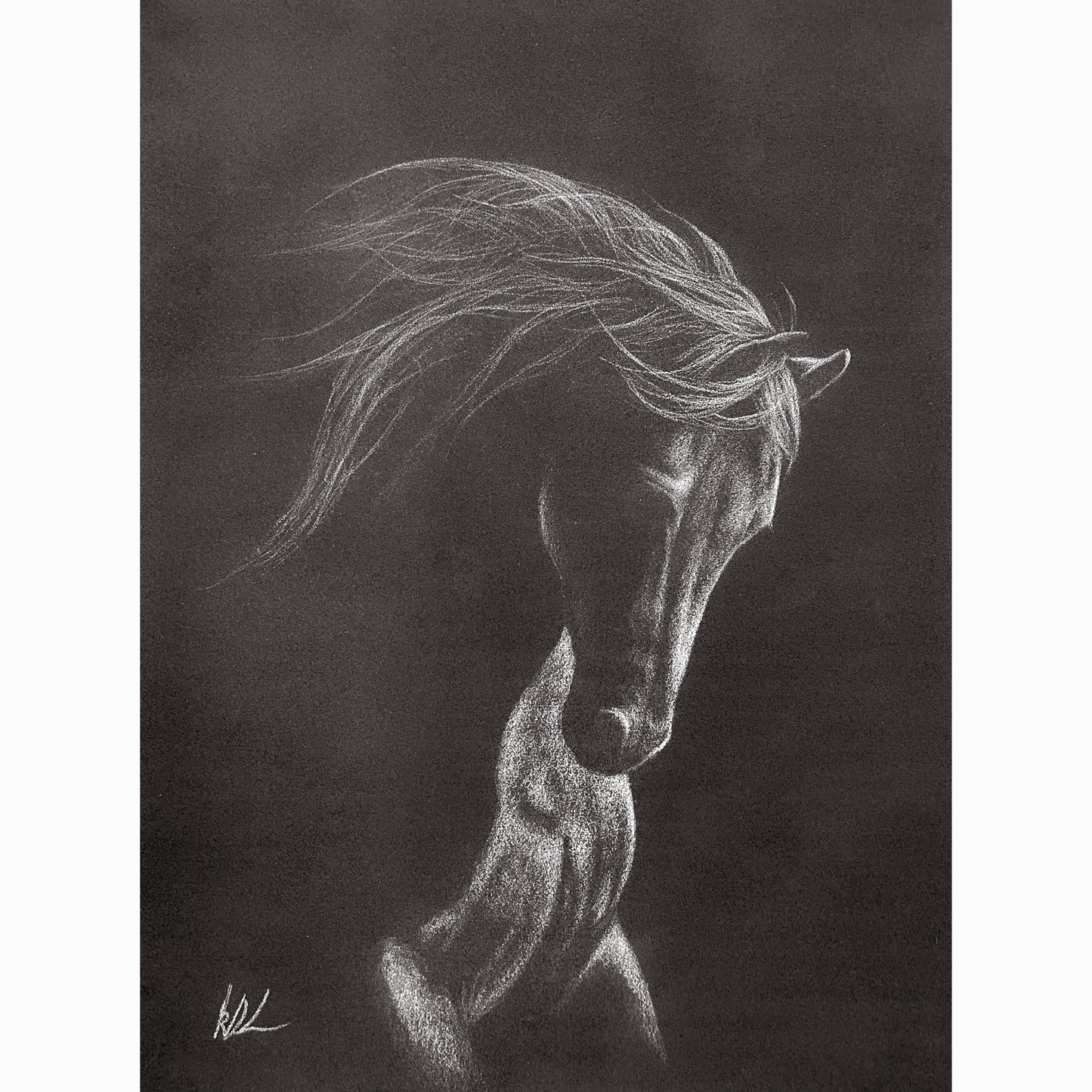 charcoal drawing of horse in black and white