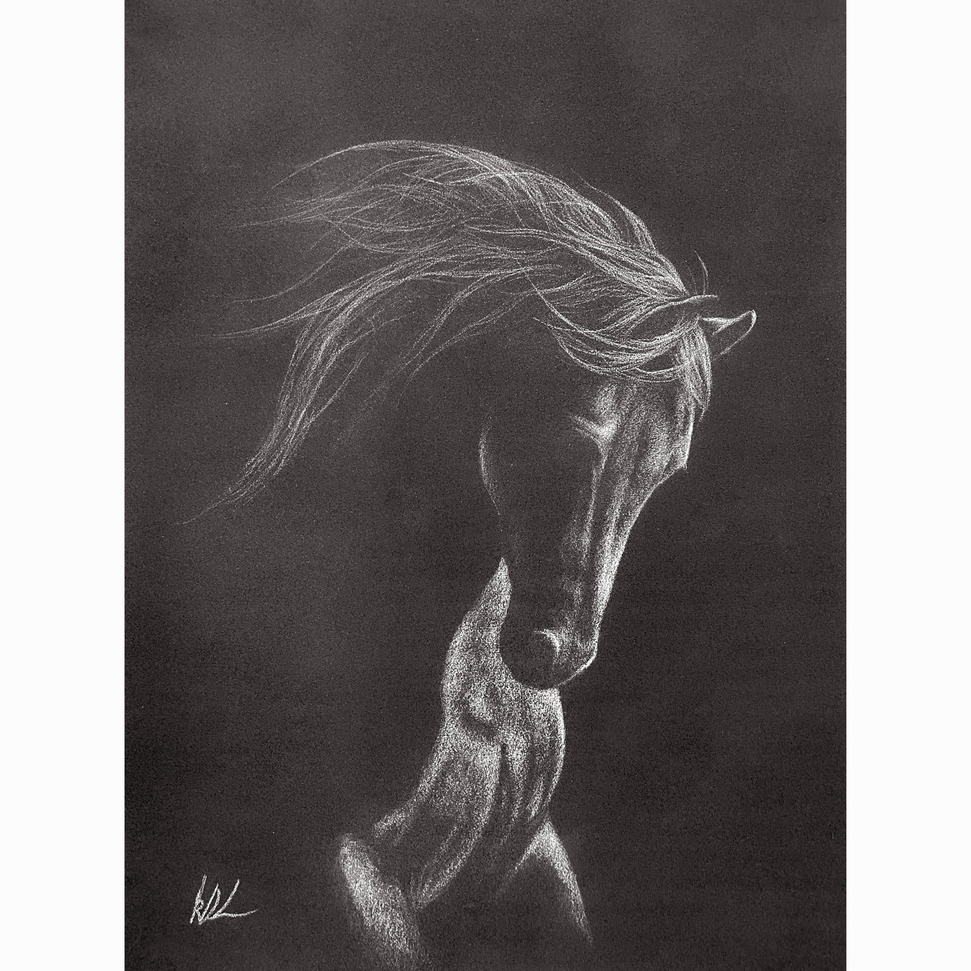 charcoal drawing of horse in black and white