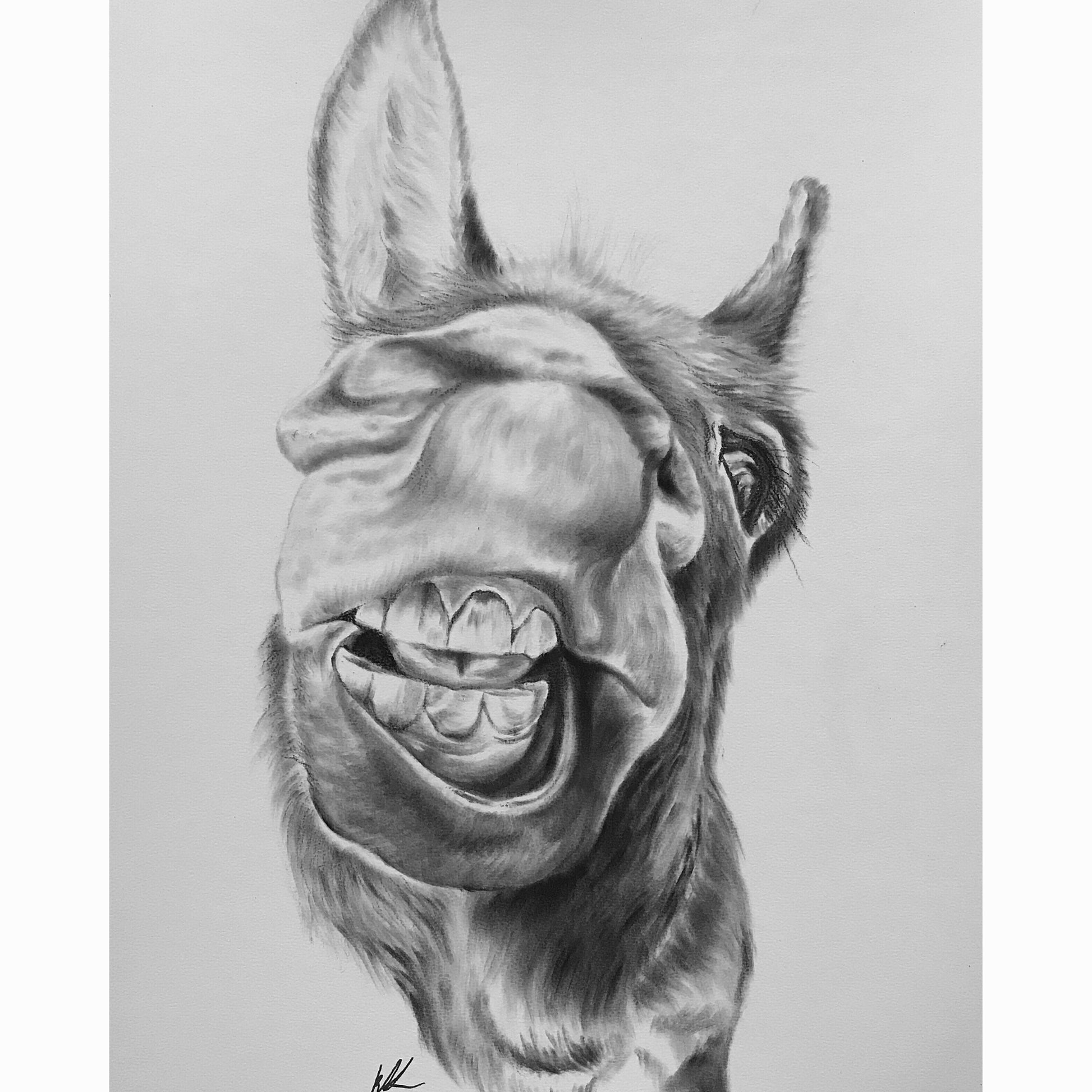 donkey with muzzle forward smiling artwork