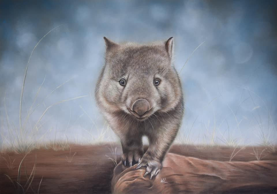 wally the wombat pastel artwork