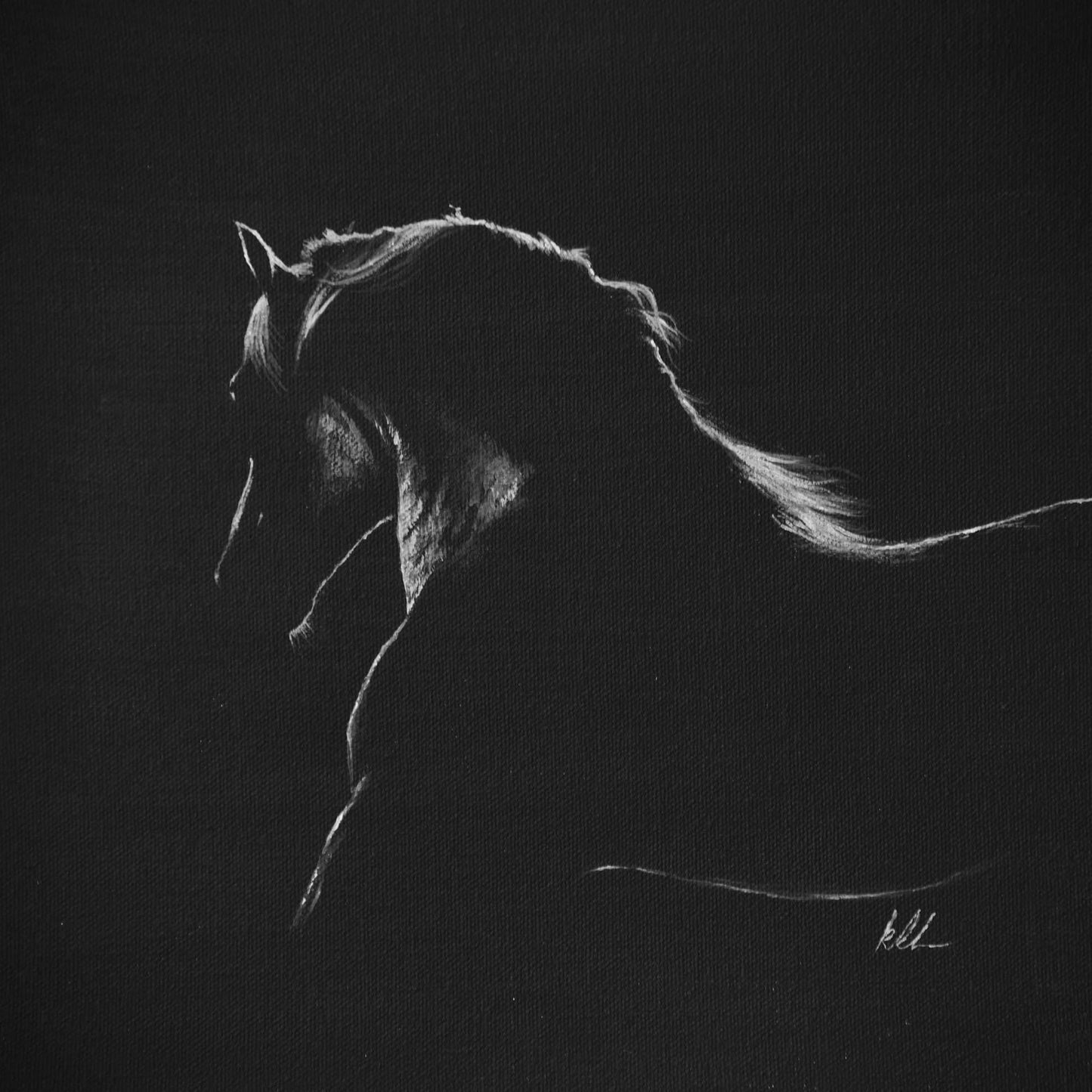 black and white artwork of horse side profile