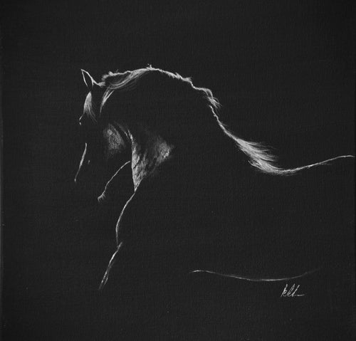 Ghost horse 3 poly fibre canvas print (square dimensions)