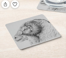 Load image into Gallery viewer, coasters