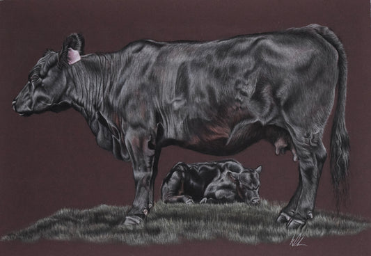 Mother and calf bargain bin