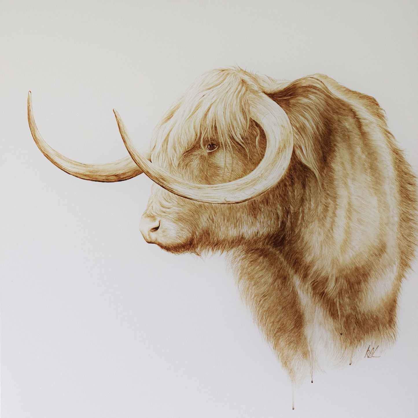 Highland Cappuccino Rolled Print