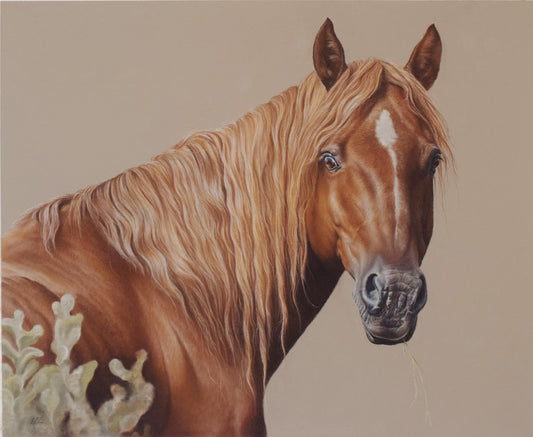 Tumbarumba prince bargain bin