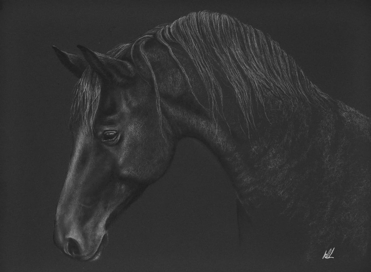 Batman – Kay Davidson’s forever pet portraits
