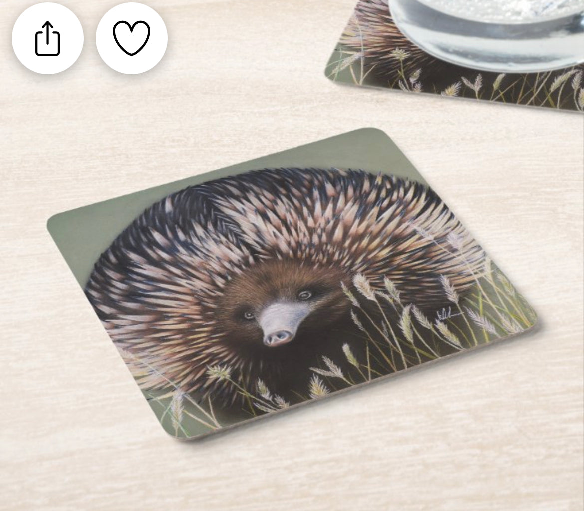 coasters