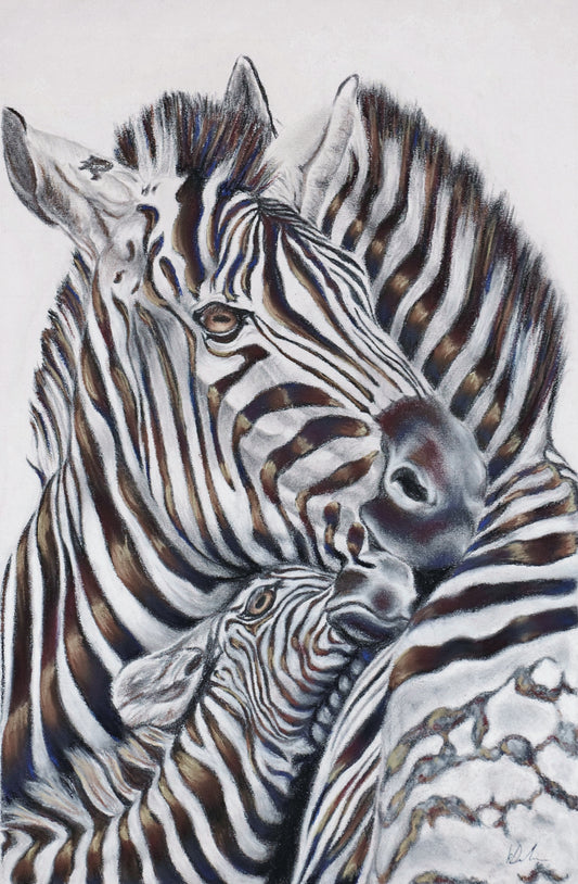 Umndeni studio stock